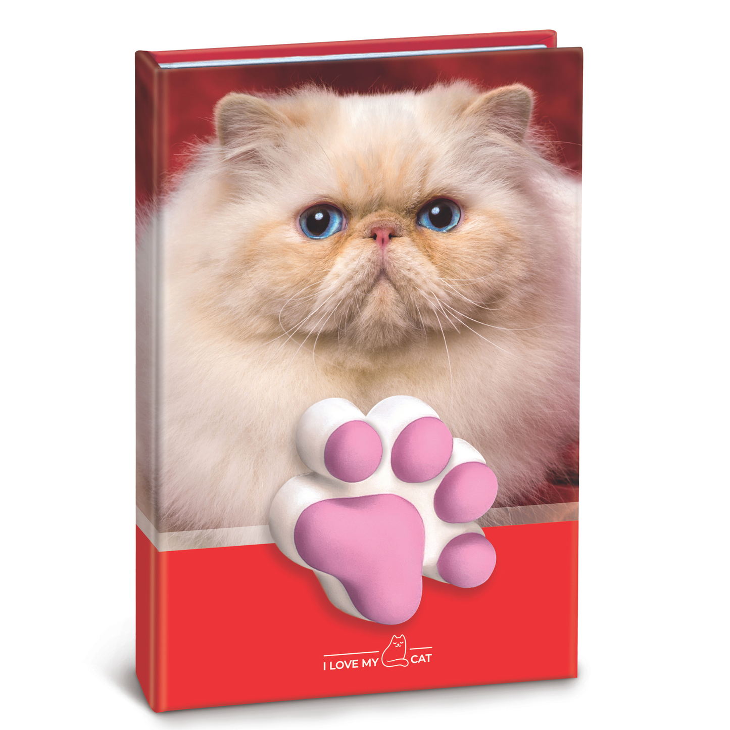 Agenda nedatata cu pisicute squishy pe coperta, 80 de pagini albe, 10 x 15 cm (12 buc/display)