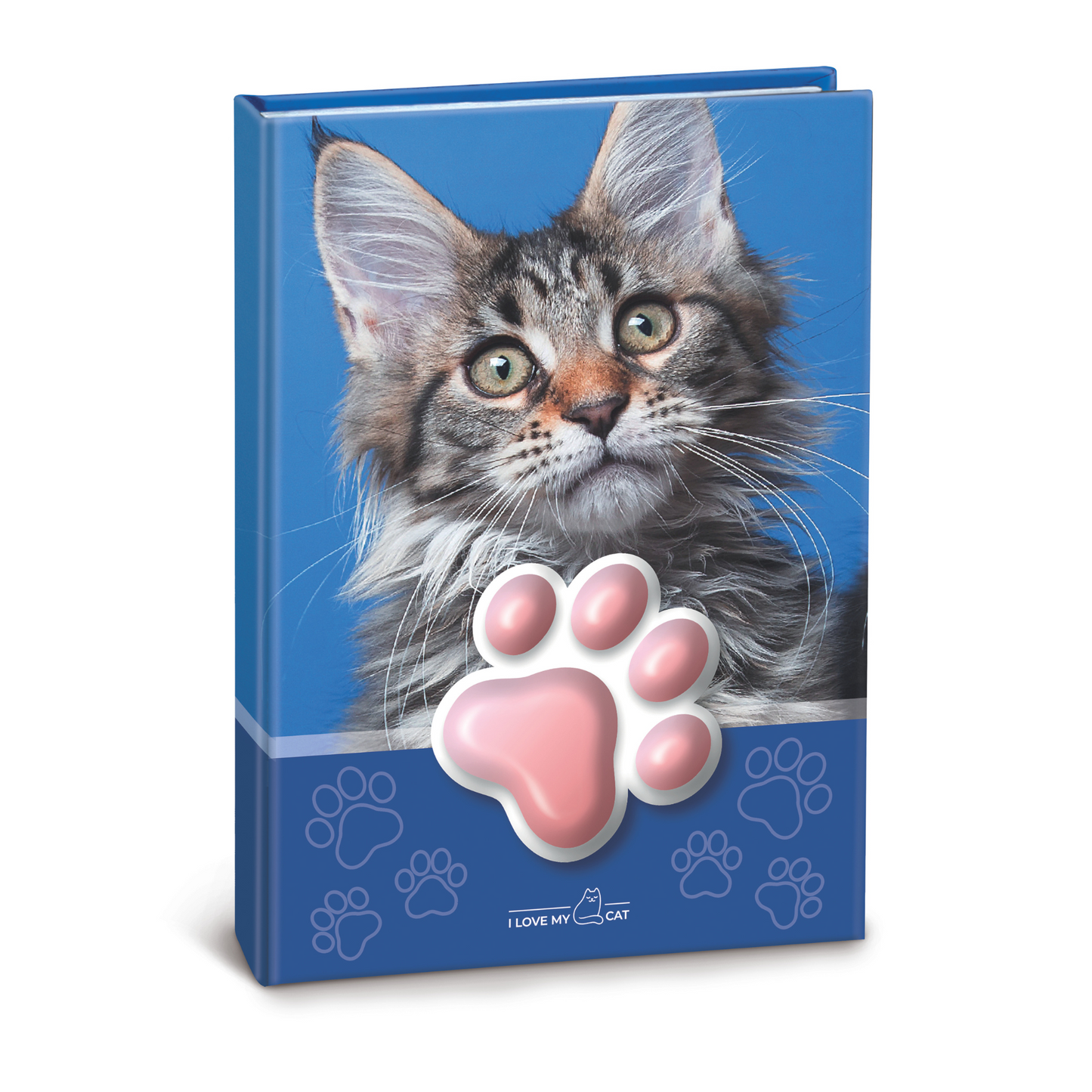 Agenda cu pisicute squishy pe coperta, 100 de pagini personalizate, 13 x 18 cm (12 buc/display)