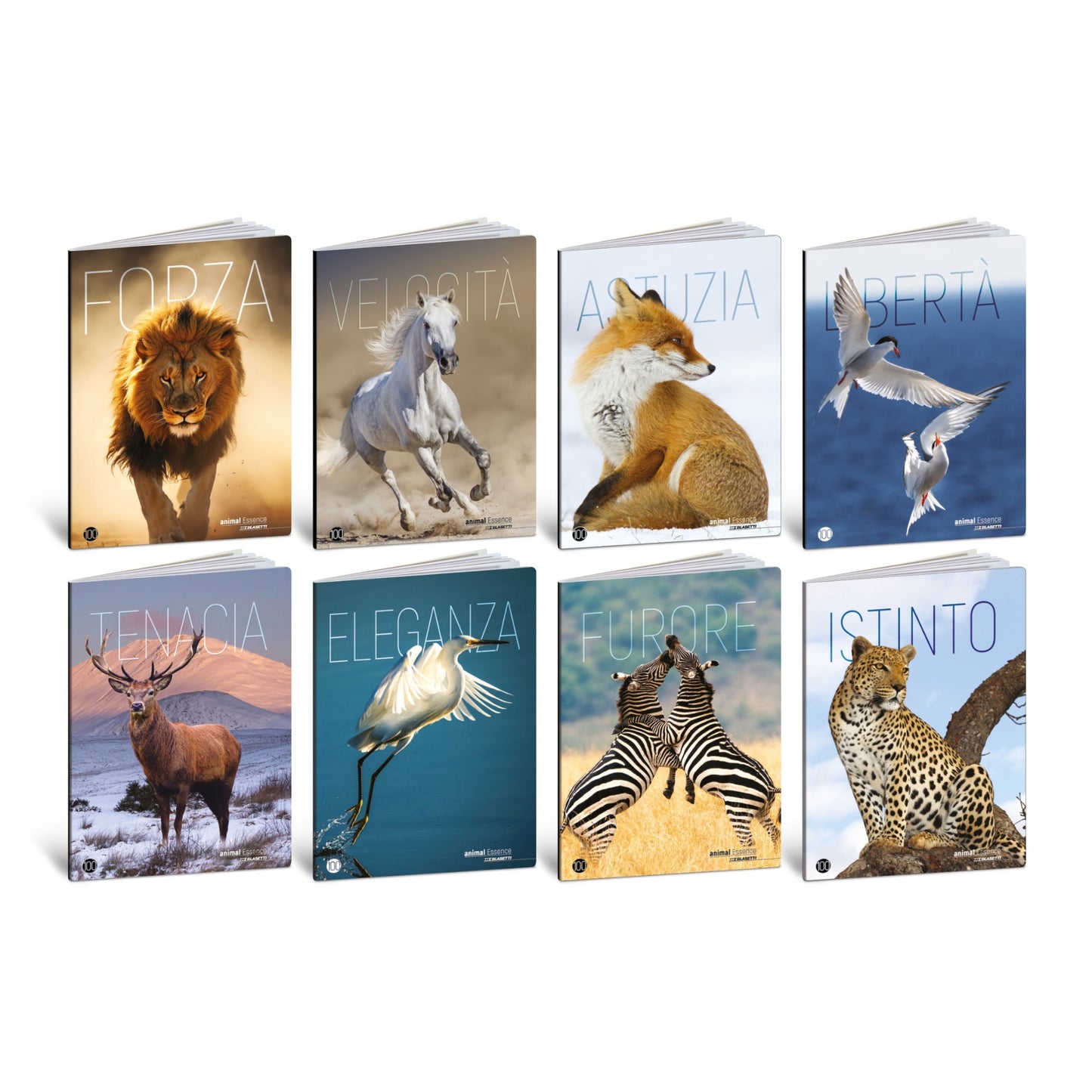 Caiet A4 de exercitii - Animale in habitat, 100 g/m2, 36 pag. (Dictando)