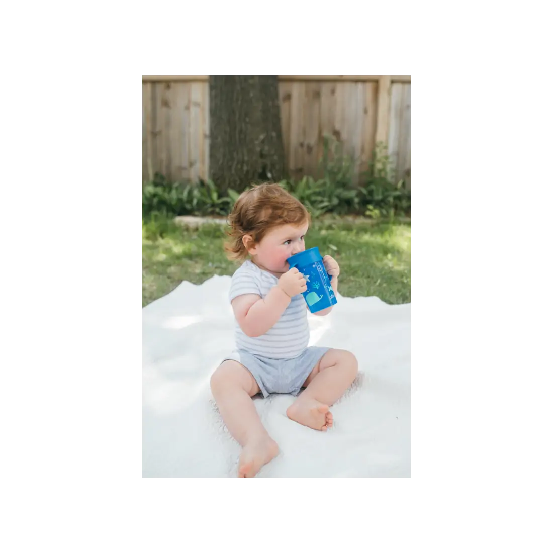 Canita Cheers 360, 300 ml. Albastru, design, BPA Free
