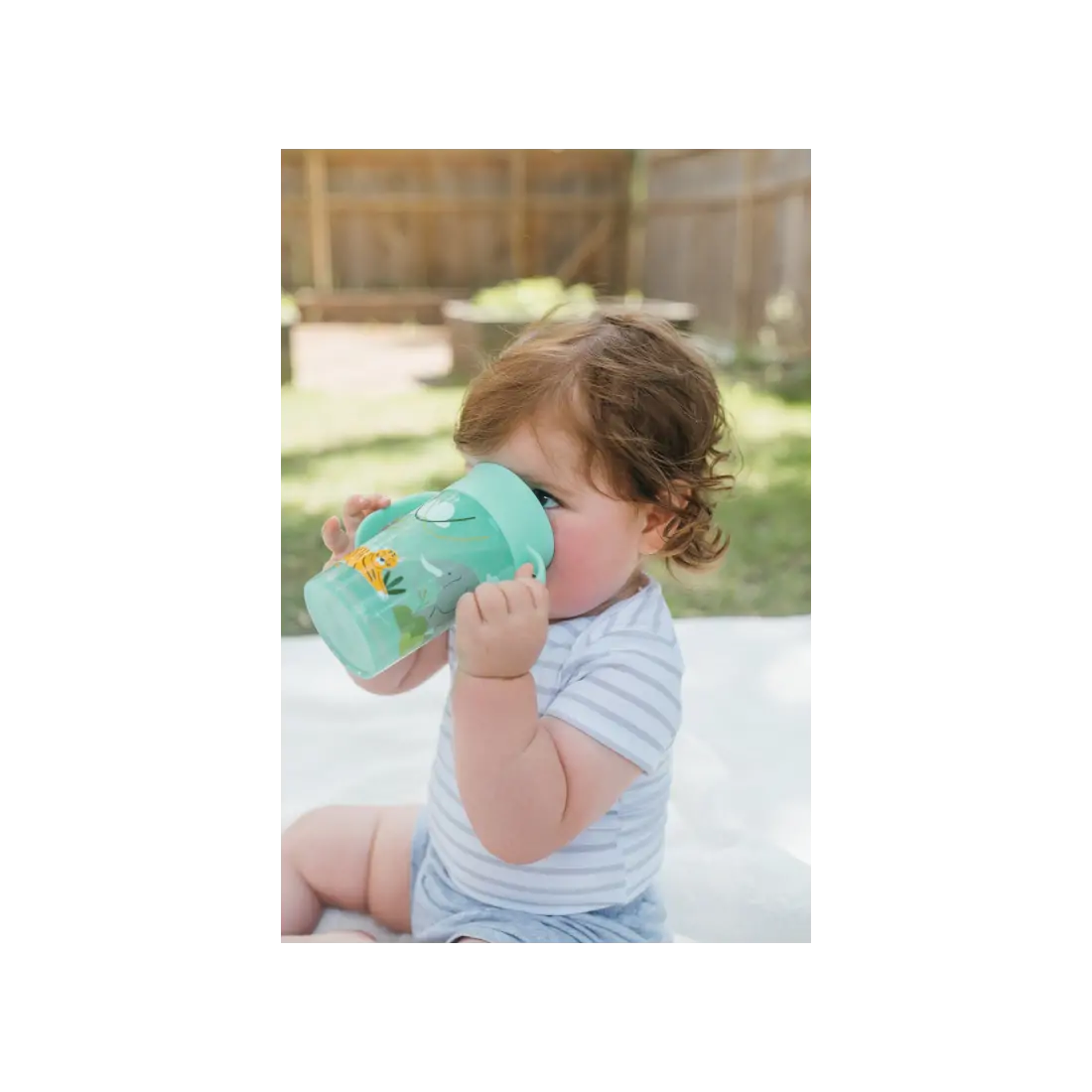 Canita Cheers 360, 300 ml. Verde, design, BPA Free