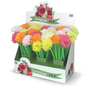 Pix flexibil Garoafa, Ã¸ 5.5 cm (36 buc/display)