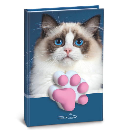 Agenda nedatata cu pisicute squishy pe coperta, 80 de pagini albe, 10 x 15 cm (12 buc/display)