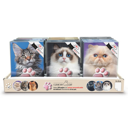 Agenda cu pisicute squishy pe coperta, 100 de pagini personalizate, 13 x 18 cm (12 buc/display)