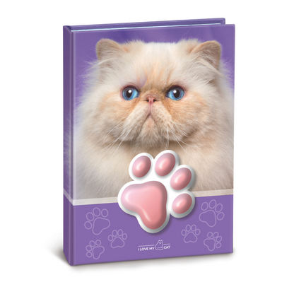 Agenda cu pisicute squishy pe coperta, 100 de pagini personalizate, 13 x 18 cm (12 buc/display)