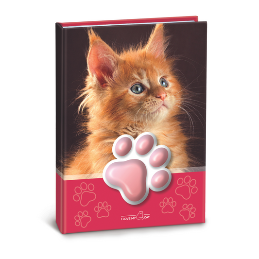 Agenda cu pisicute squishy pe coperta, 100 de pagini personalizate, 13 x 18 cm (12 buc/display)