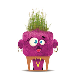 Papusa cap de iarba - Sandra cea Suprinsa