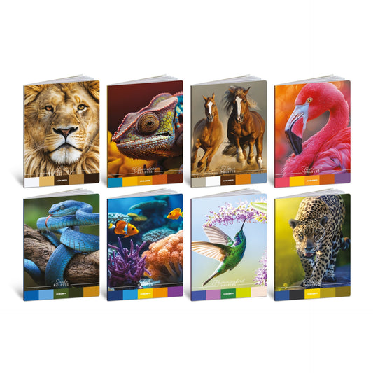 Caiet A4 de exercitii - Animale-paleta de culori, 80 g/m2, 40 pag. (Dictando)