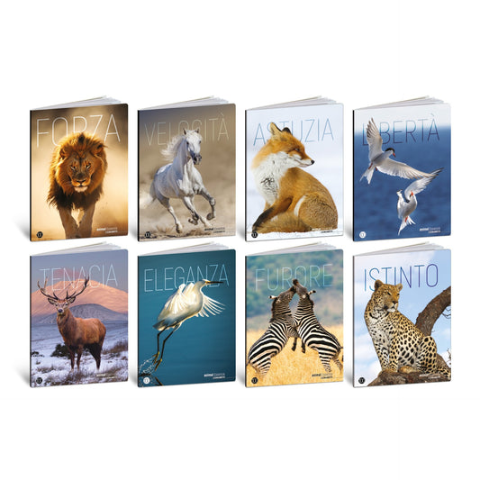 Caiet A4 de exercitii - Animale in habitat, 100 g/m2, 36 pag. (Dictando)