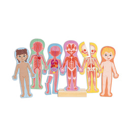 Puzzle magnetic pentru copii - Corpul uman (68 piese)