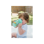 Canita Cheers 360, 300 ml. Verde, design, BPA Free