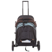 Carucior sport Chipolino Combo aloe