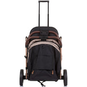 Carucior sport Chipolino Combo golden beige