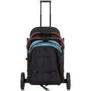 Carucior sport Chipolino Combo teal